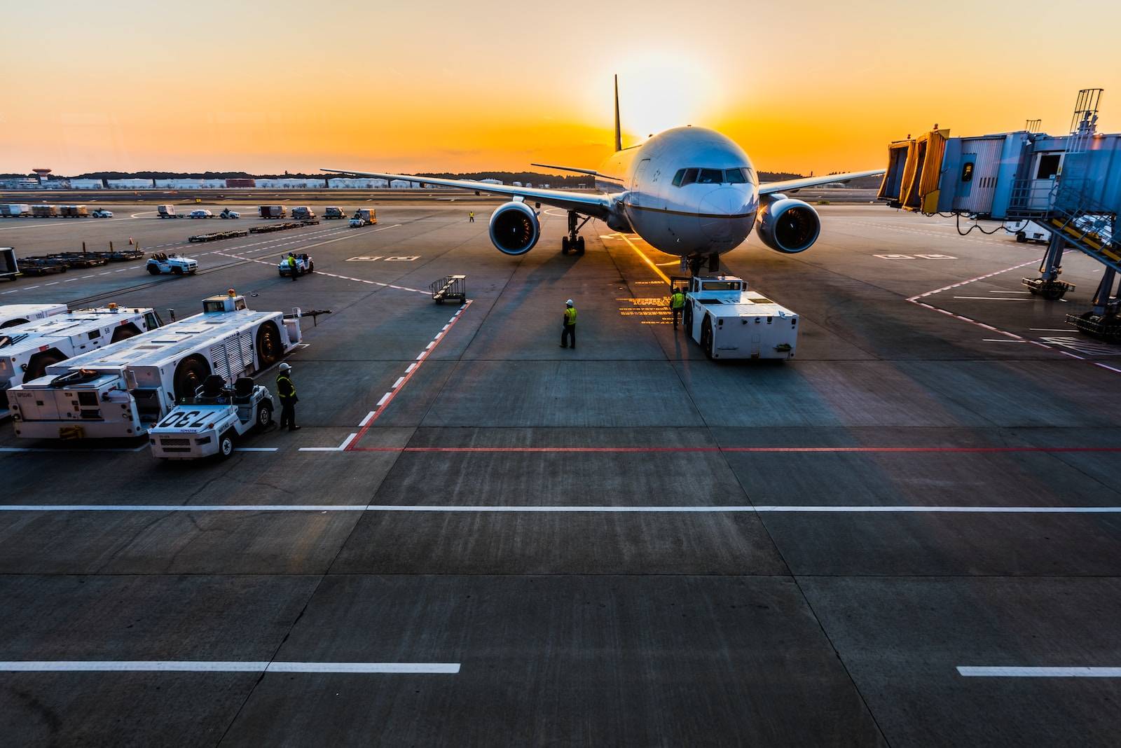 Flight Deals